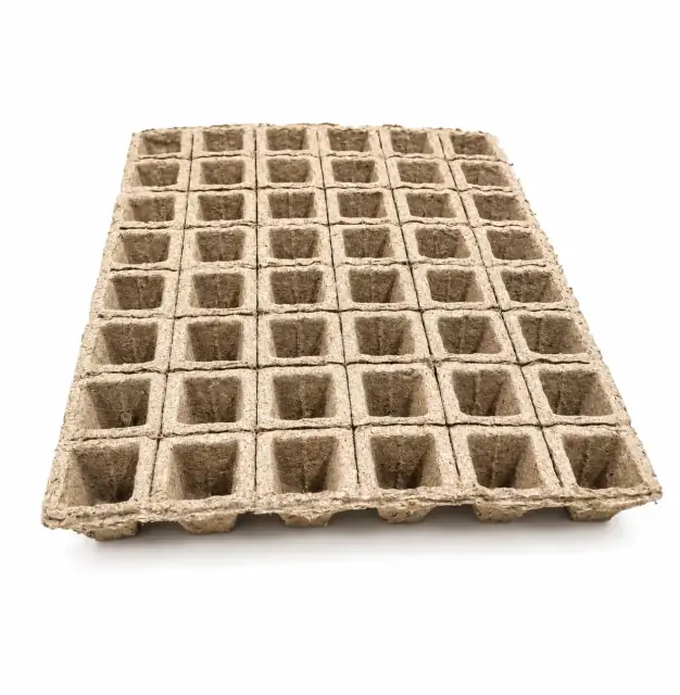Maceta biodegradable Semillera