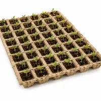 Miniatura 2 de Semillera
